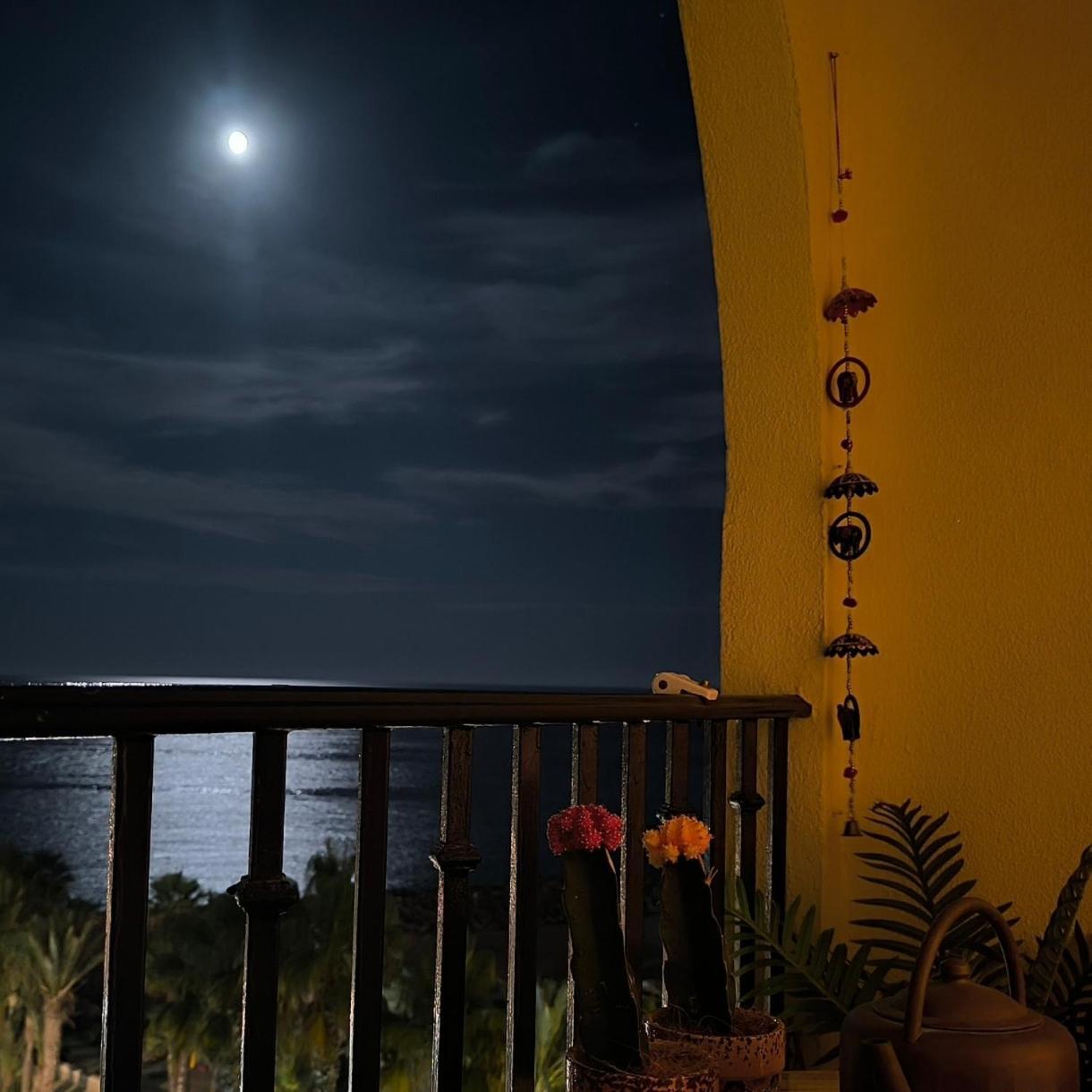 Apartamento Tropicana 1° Linea Альмуньекар Экстерьер фото